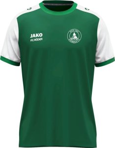 DTSV 1867 Steinbach Jako Trikot Dynamic