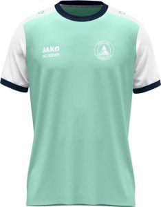 DTSV 1867 Steinbach Jako Trikot Dynamic