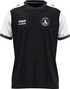 DTSV 1867 Steinbach Jako Trikot Dynamic