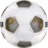 Derbystar Brillant APS v25