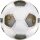 Derbystar Brillant APS v25