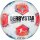 Derbystar Bundesliga Brillant APS v25 Gr.5 10er Ballpaket