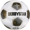 Derbystar Brillant APS v25 Gr.5 15er Ballpaket