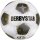 Derbystar Brillant APS v25 Gr.5 20er Ballpaket