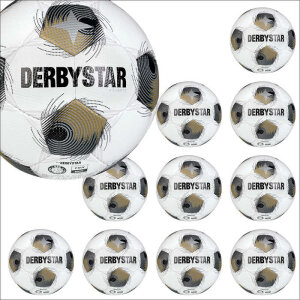 Derbystar Brillant TT v25 Gr. 5 10er Ballpaket