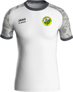 SG Eintracht Lossa Jako Trikot Iconic