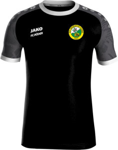 SG Eintracht Lossa Jako Trikot Iconic