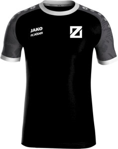 Blau-Weiß Zorbau Jako Trikot Iconic