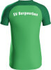 SV Burgwerben Jako Polo Iconic
