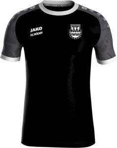 SV Burgwerben Jako Trikot Iconic