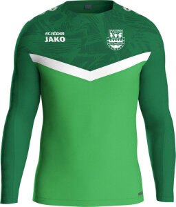 SV Burgwerben Jako Sweat Iconic