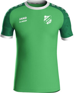 VfB Nessa Jako Trikot Iconic