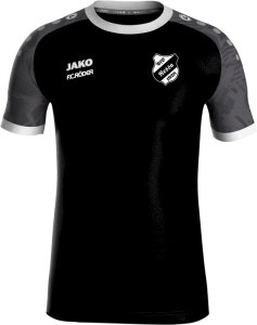 VfB Nessa Jako Trikot Iconic
