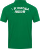1.FC Romonta Amsdorf Jako Polo Power