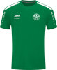 1.FC Romonta Amsdorf Jako Trikot Power