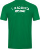 1.FC Romonta Amsdorf Jako Trikot Power