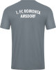 1.FC Romonta Amsdorf Jako Trikot Power