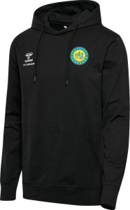 BSV Fichte Erdeborn Hummel Kapuzensweat Go 2.0