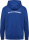 BSV Fichte Erdeborn Hummel Kapuzensweat Go 2.0