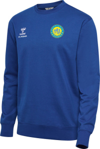 BSV Fichte Erdeborn Hummel Sweatshirt Go 2.0