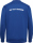 BSV Fichte Erdeborn Hummel Sweatshirt Go 2.0