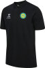 BSV Fichte Erdeborn Hummel Polo Go 2.0