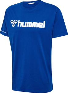 BSV Fichte Erdeborn Hummel T-Shirt Logo Go 2.0