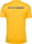 BSV Fichte Erdeborn Hummel Trikot Authentic Poly