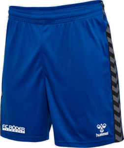 BSV Fichte Erdeborn Hummel Short Authentic Poly