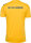 BSV Fichte Erdeborn Hummel Trikot Authentic Poly