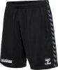 BSV Fichte Erdeborn Hummel Short Authentic Poly