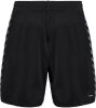 BSV Fichte Erdeborn Hummel Short Authentic Poly