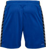 BSV Fichte Erdeborn Hummel Short Authentic Poly