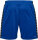 BSV Fichte Erdeborn Hummel Short Authentic Poly