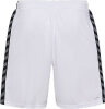 BSV Fichte Erdeborn Hummel Short Authentic Poly
