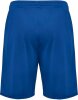 BSV Fichte Erdeborn Hummel Short Essential