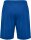 BSV Fichte Erdeborn Hummel Short Essential