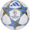 Adidas UCL 25/26 Group Stage Trainingsball 10er Ballpaket