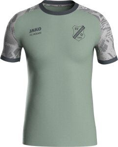 Baumersrodaer SV Jako Trikot Iconic