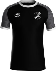 Baumersrodaer SV Jako Trikot Iconic