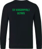 SV Kaiserpfalz Ultras Jako Sweat Doubletex