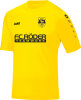 SV Mertendorf Jako Trikot Team