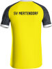 SV Mertendorf Jako Trikot Iconic