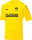 SV Mertendorf Jako Trikot Team