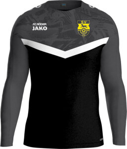 SV Mertendorf Jako Sweat Iconic