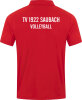 TV 1922 Saubach Jako Polo Power