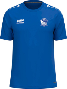 SV Blau-Weiß Farnstädt Jako T-Shirt One