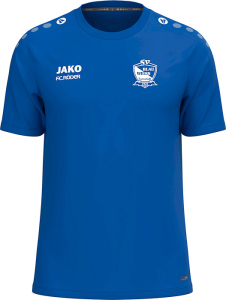 SV Blau-Weiß Farnstädt Jako T-Shirt One Baumwolle