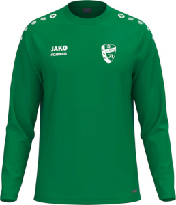 VSG Löbitz Jako Sweat One