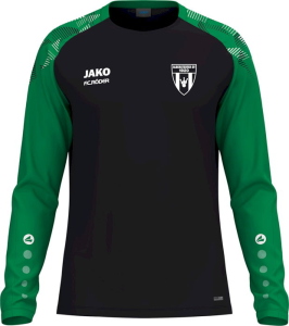 Alberstedter SV Jako Longsleeve Sonic